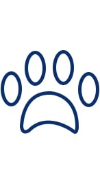 Mascotas